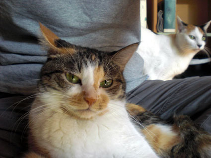 20061126home01.JPG