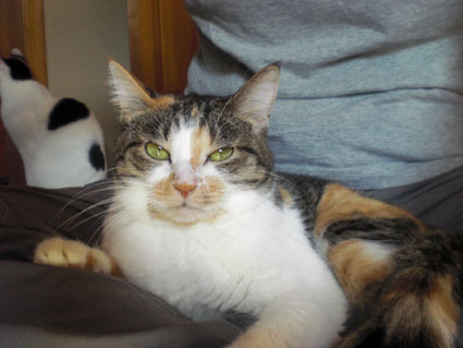 20061126home02.JPG