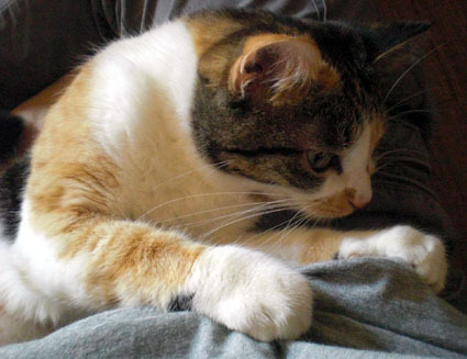 20061126home04.JPG