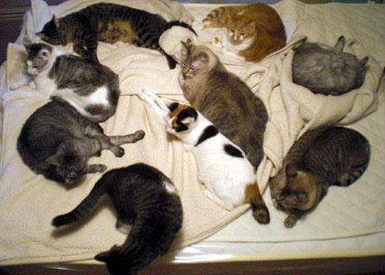 20061126home07.JPG
