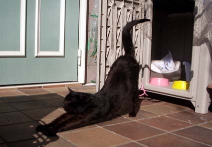 20070204home01_dai.jpg