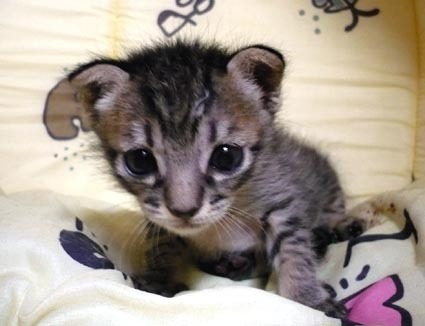 20070929mei02.jpg