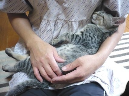20071216mei01.jpg