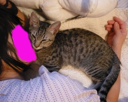 20080112mei01.jpg