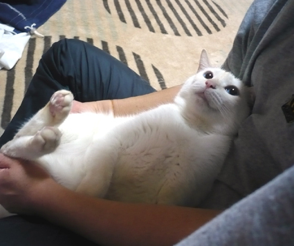 20080128yuki01.JPG