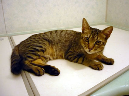 20080328mei01.JPG