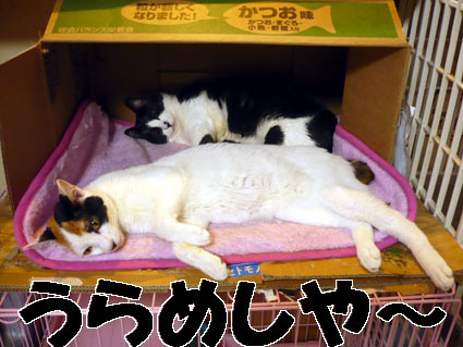 20080503non03.JPG