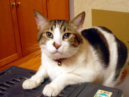 20080503riv01.JPG