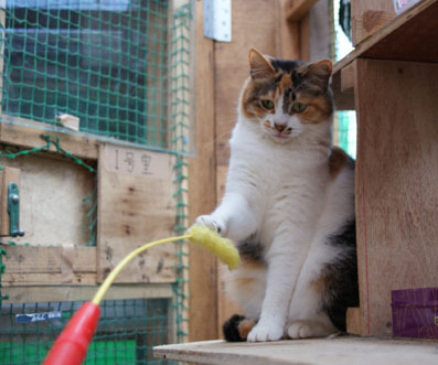 20080525fujimi08.JPG