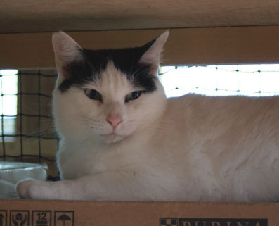 20080525fujimi09.JPG