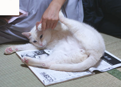20080622yuki01.JPG