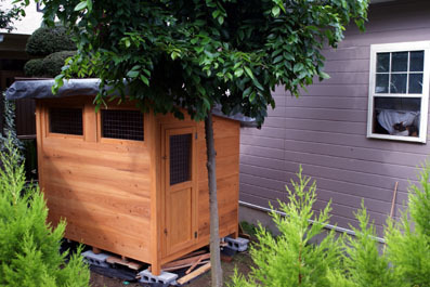 20080629koya02.JPG