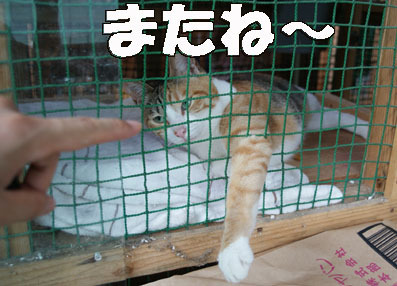20080706fujimi02.JPG