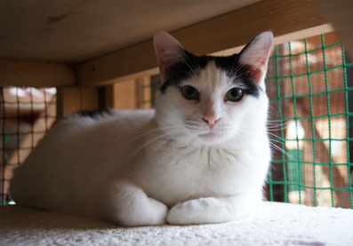20080706fujimi05.JPG