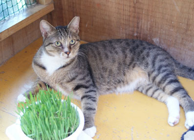 20080706fujimi08.JPG