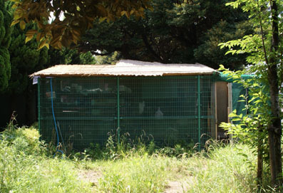 20080713fujimi01.JPG