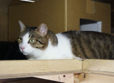 20080713fujimi03.JPG