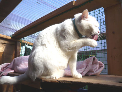 20080715hikaru00.JPG