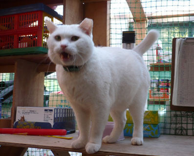 20080715hikaru02.JPG