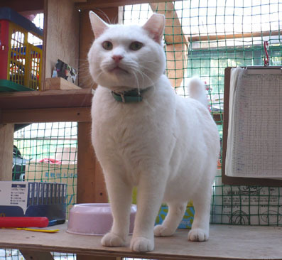20080715hikaru03.JPG