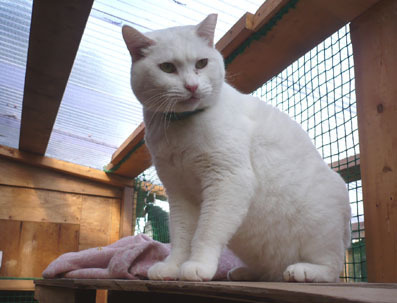 20080715hikaru04.JPG