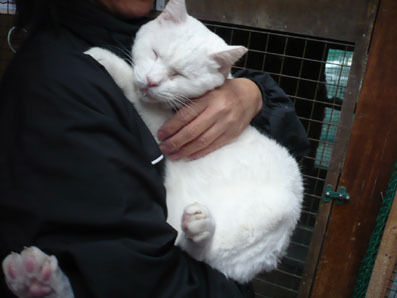 20080715hikaru05.JPG