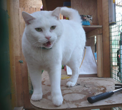 20080715hikaru06.JPG