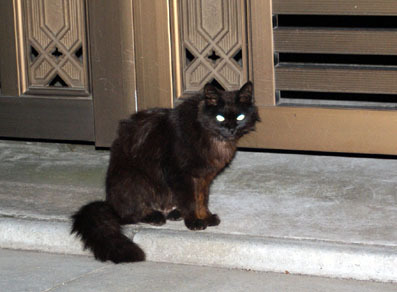 20080717hikaru05.JPG