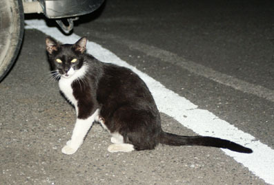 20080719hikaru04.JPG