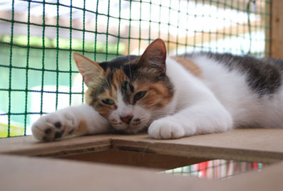 20080720fujimi05.JPG