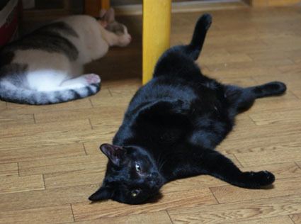20080728home01.JPG