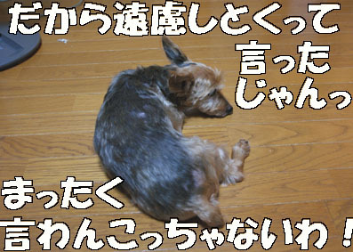 20080730chacha03.JPG