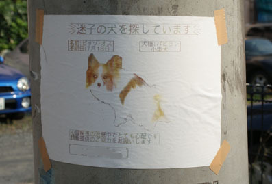 20080803fujimi02.JPG