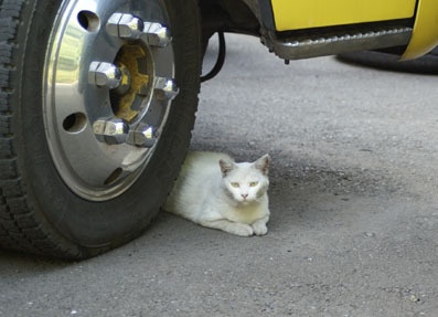 20080803fujimi03.JPG