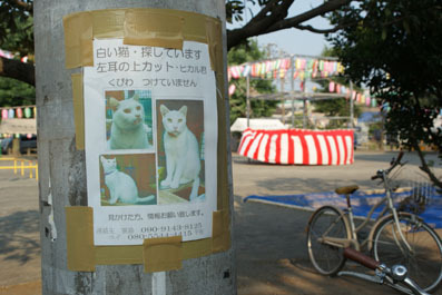 20080803fujimi07.JPG