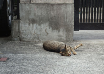 20080803fujimi08.JPG