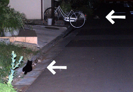 20080819hikaru16.JPG