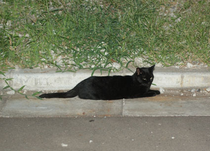 20080819hikaru17.JPG