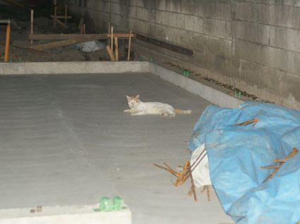 20080819hikaru33.JPG