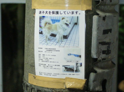 20080819hikaru34.JPG