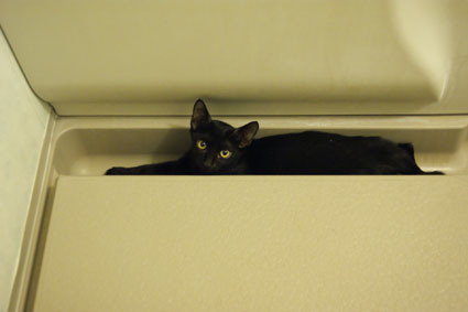 20080821cham06.JPG