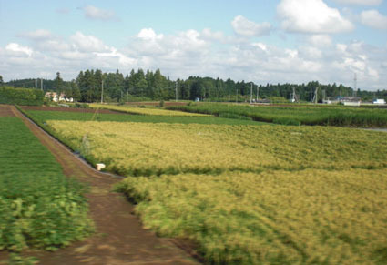 20080822tuchiura03.JPG