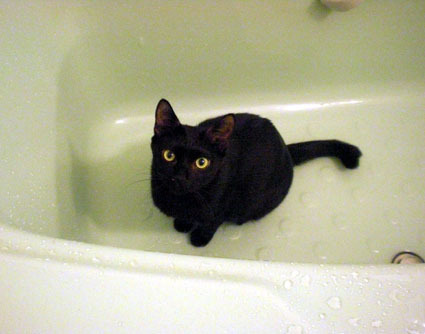 20080824home03.JPG