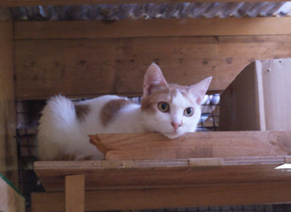 20080831fujimi07.JPG