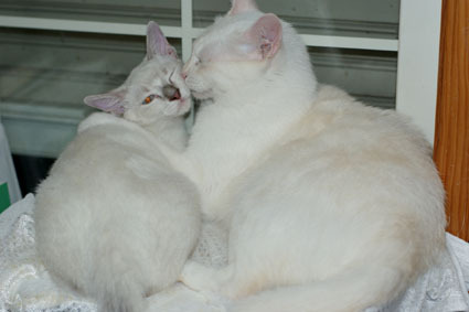 20080908yuki01.JPG