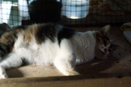 20080914fujimi02.JPG