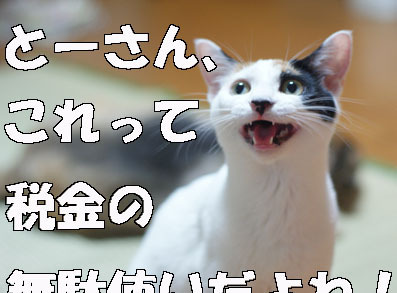 20080919koshigaya04.JPG