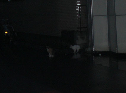 20080921fujimi14.JPG