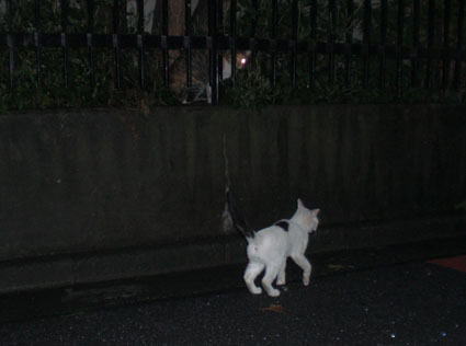 20080921fujimi15.JPG