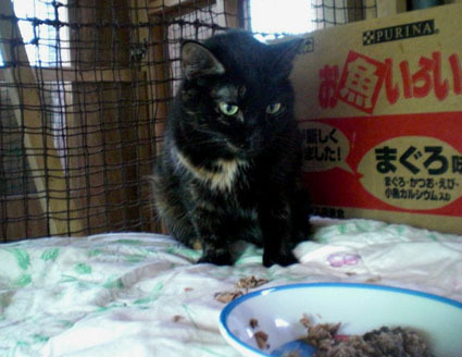20081012fujimi02.JPG